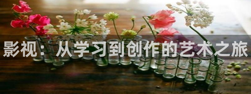 《私人影院》：影视：从学习到创作的艺术之旅